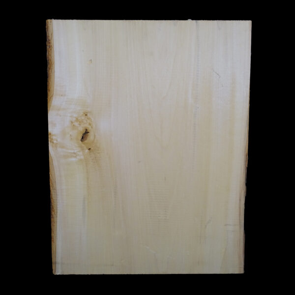AC European Basswood Body Blank - 1 Piece - BB1PEB003 - Image 2
