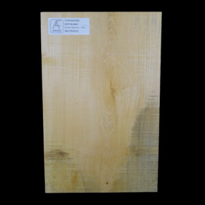 AC European Basswood Body Blank - 1 Piece - BB1PEB022
