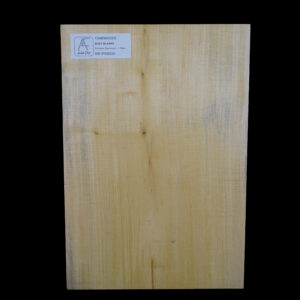 AC European Basswood Body Blank - 1 Piece - BB1PEB030