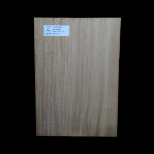AC Khaya (African Mahogany/Acajou) Body Blank - 1 piece - BB1PK117