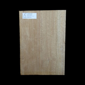 AC Khaya (African Mahogany/Acajou) Body Blank - 1 piece - BB1PK161