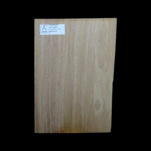 AC Khaya (African Mahogany/Acajou) Body Blank - 1 piece - BB1PK170