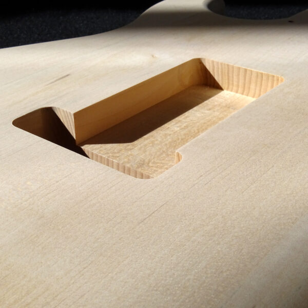AC Strat Syle European Basswood Body - C000347 - Image 10